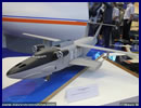 At IMDS 2013, the International Maritime Defense Show currently held in St Petersburg, Russian company JSC RADAR MMS is presenting a new Ekranoplan project dubbed A-080-752.